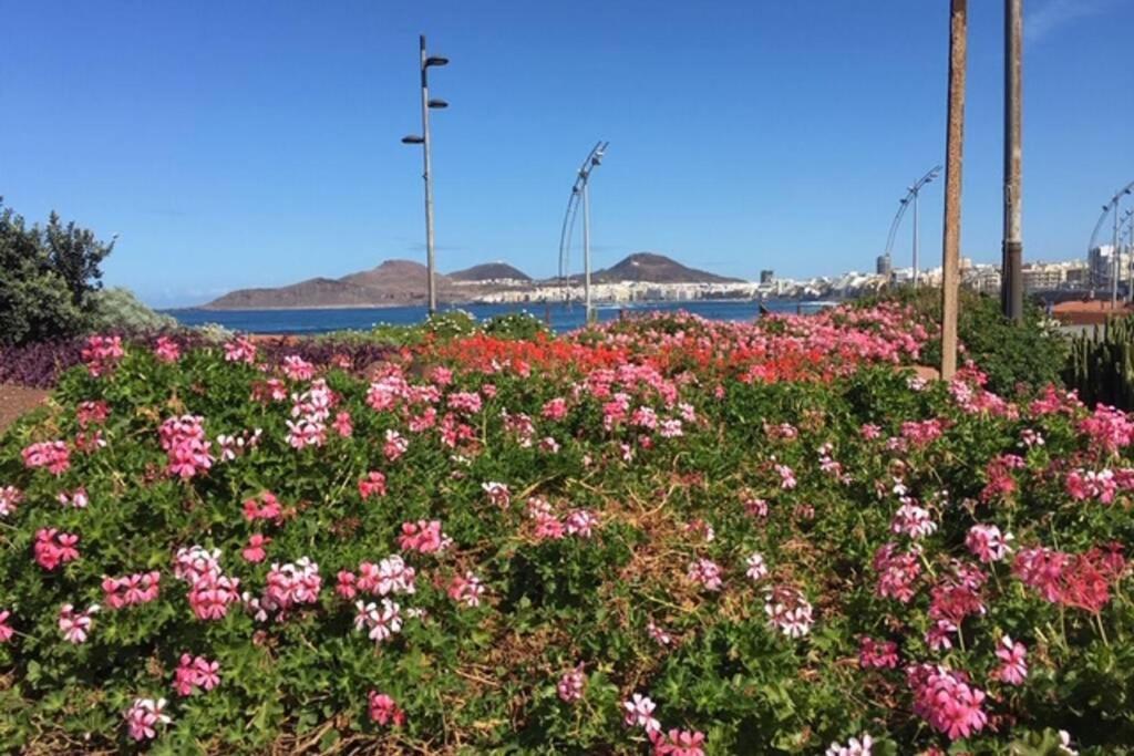 El Atico De Mateo 5A Daire Las Palmas de Gran Canaria Dış mekan fotoğraf